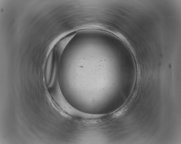 X0000056000862200509021702