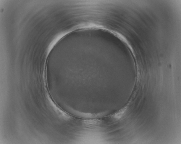 X0000056000863200509021702