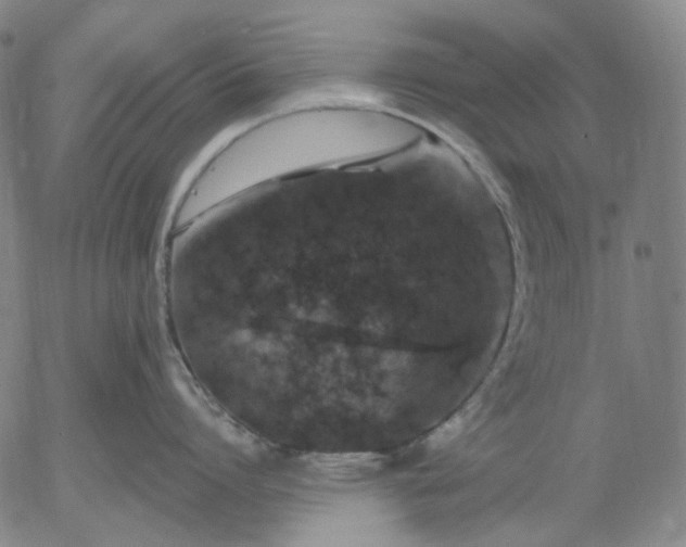 X0000056000864200509021702