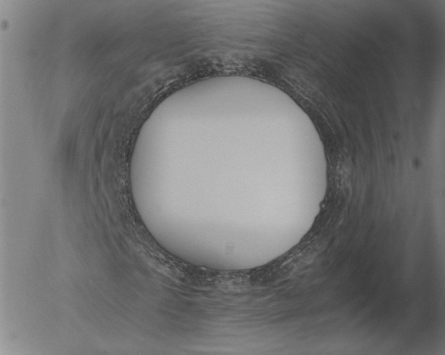 X0000056000865200509021701