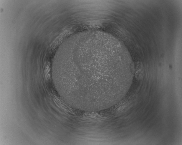 X0000056000866200509021701