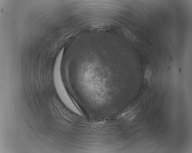 X0000056000868200509021701