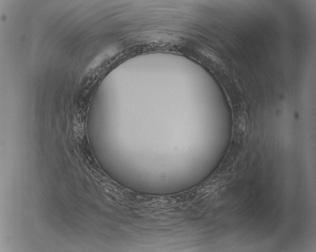 X0000056000869200509021701