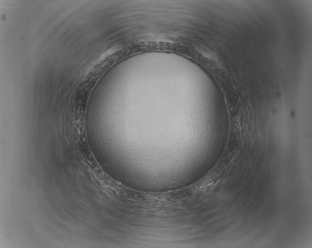 X0000056000870200509021701