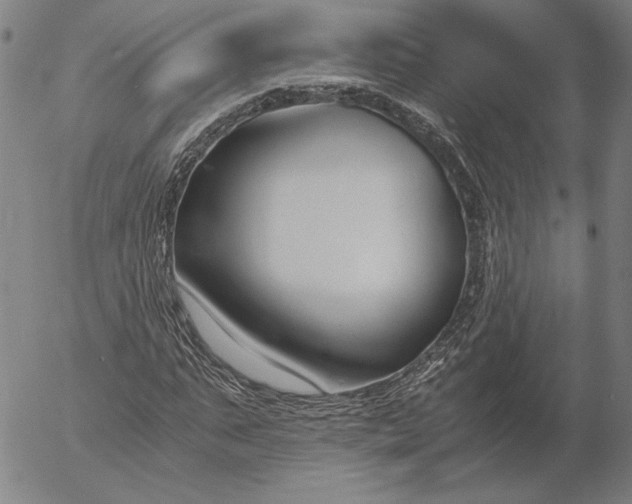 X0000056000871200509021701