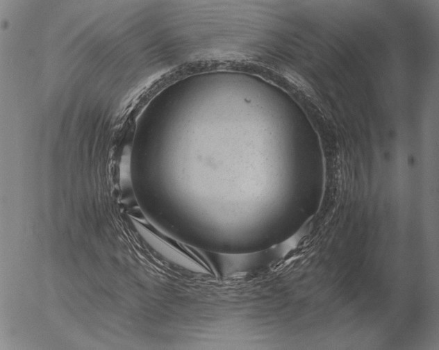 X0000056000872200509021701