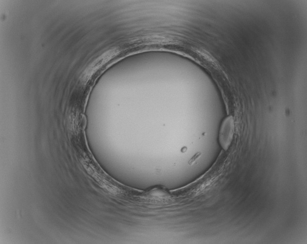 X0000056000873200509021701