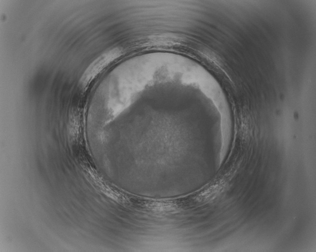 X0000056000874200509021701