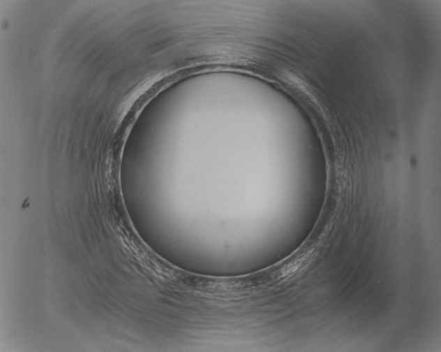 X0000056000875200509021701