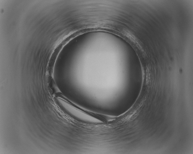 X0000056000876200509021701