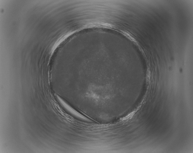 X0000056000877200509021701