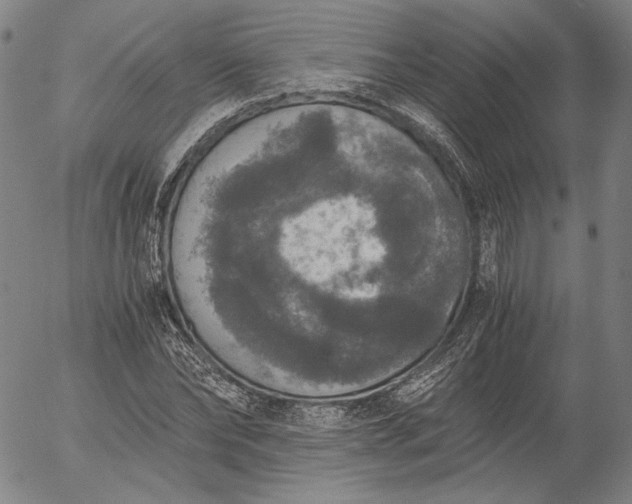 X0000056000878200509021701