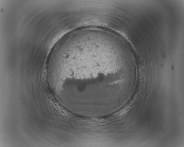 X0000056000879200509021701