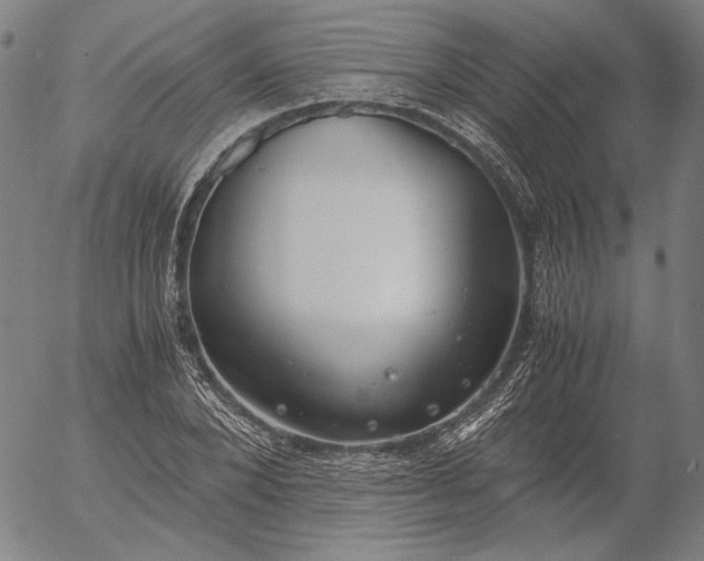 X0000056000880200509021701