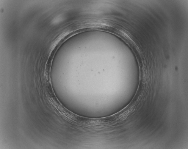 X0000056000883200509021701