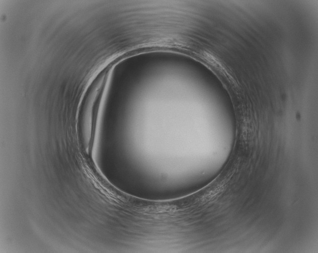 X0000056000884200509021701