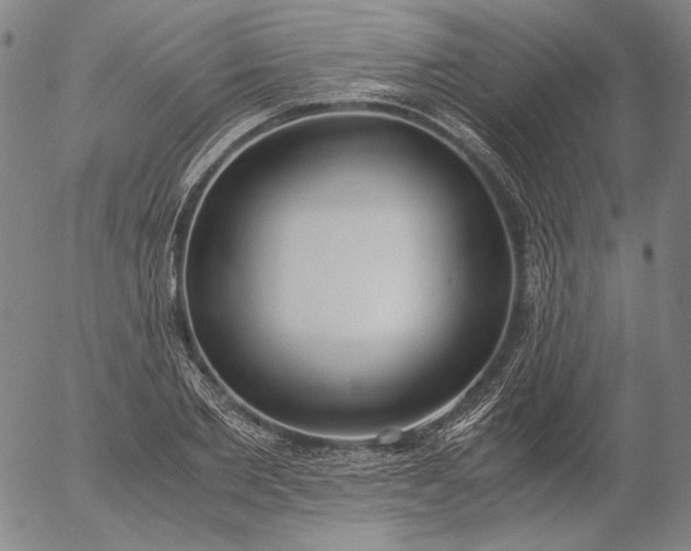 X0000056000885200509021701