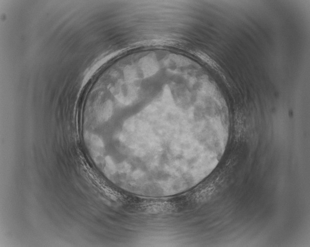 X0000056000886200509021701