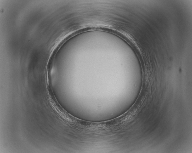 X0000056000887200509021701