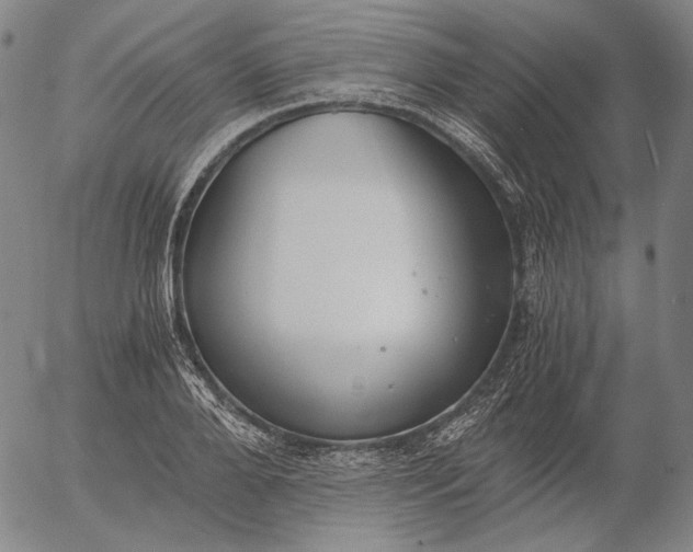 X0000056000888200509021701