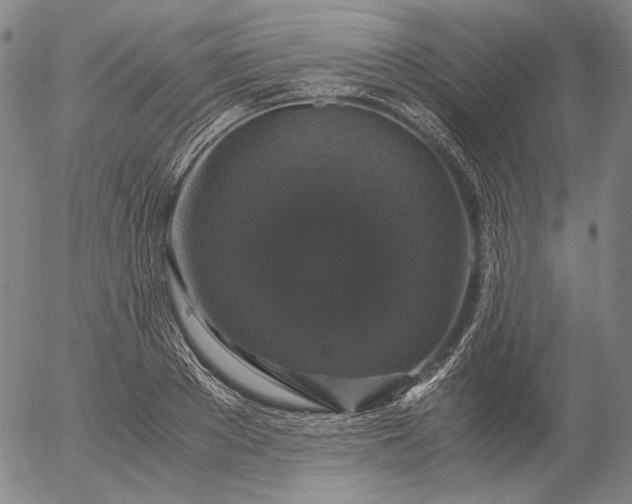 X0000056000889200509021701