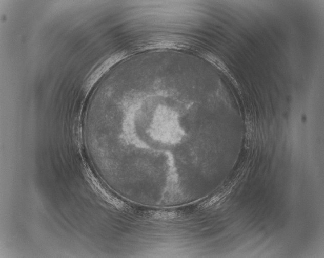 X0000056000890200509021701