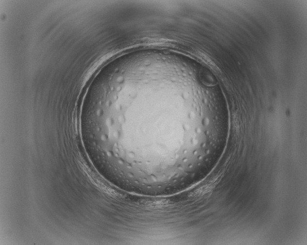 X0000056000891200509021701