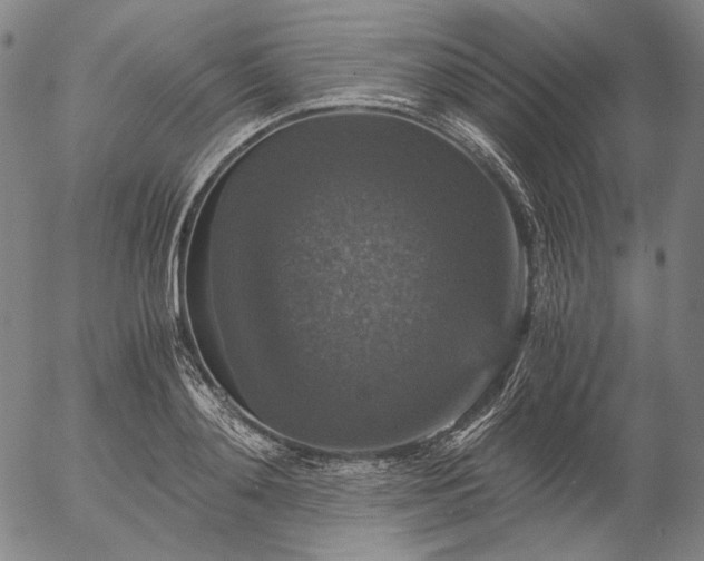 X0000056000892200509021701