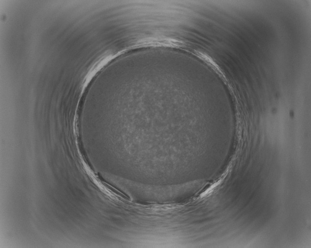 X0000056000893200509021701