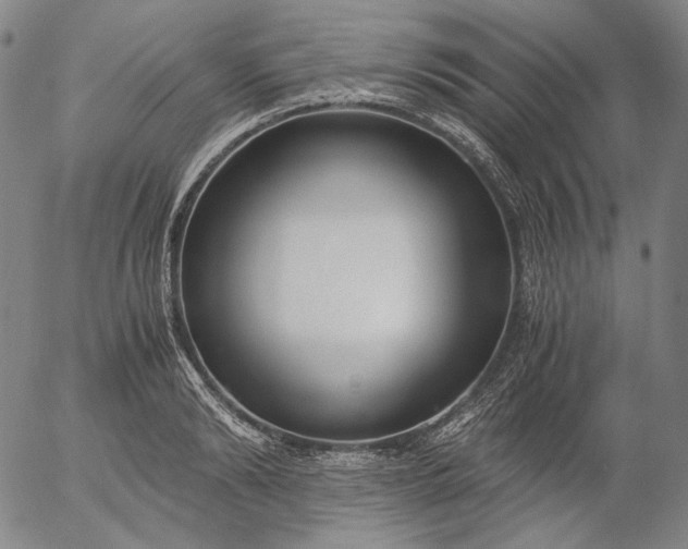 X0000056000894200509021701