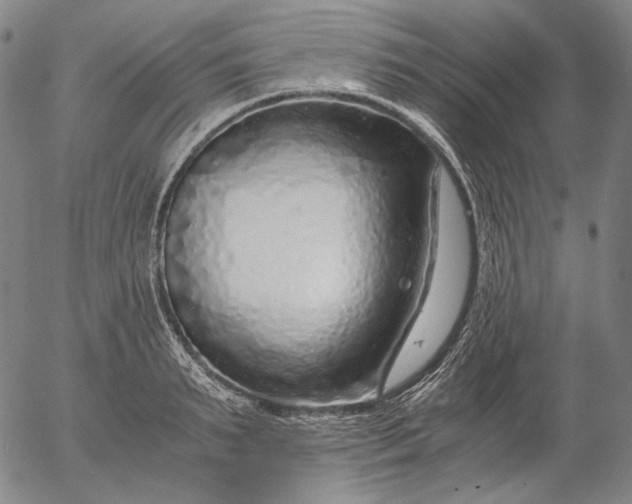 X0000056000895200509021701