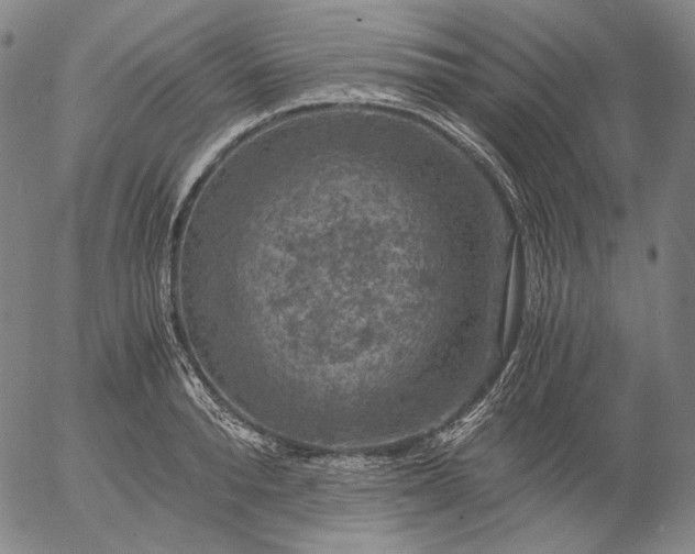 X0000056000896200509021701