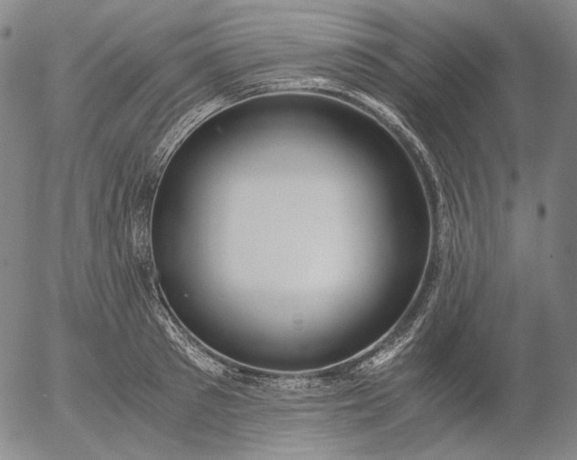 X0000056000897200509021701