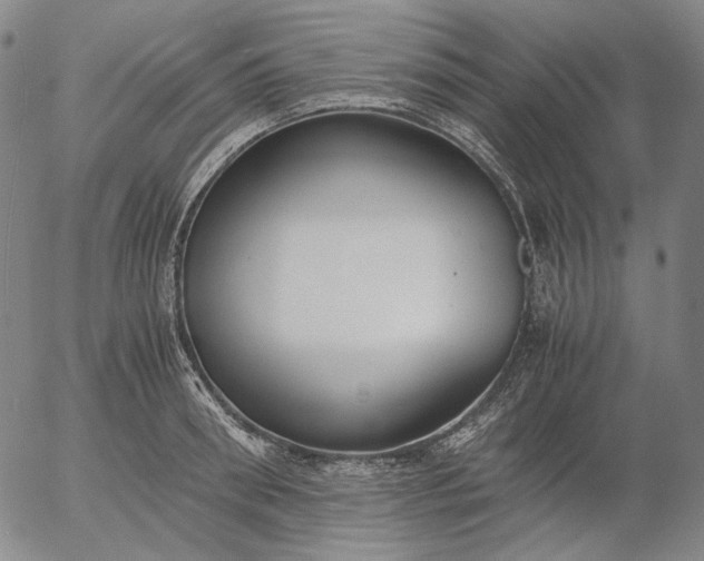 X0000056000898200509021701