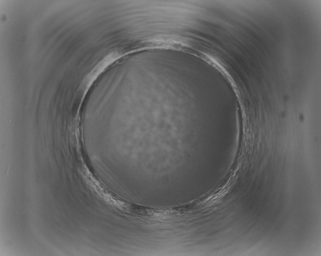 X0000056000899200509021701