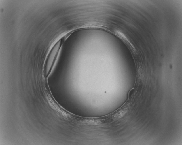 X0000056000900200509021701