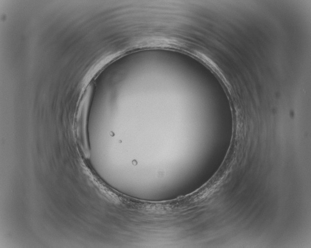 X0000056000901200509021701