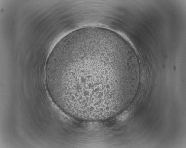 X0000056000903200509021701