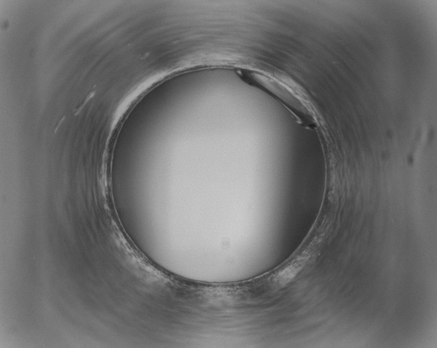 X0000056000904200509021701