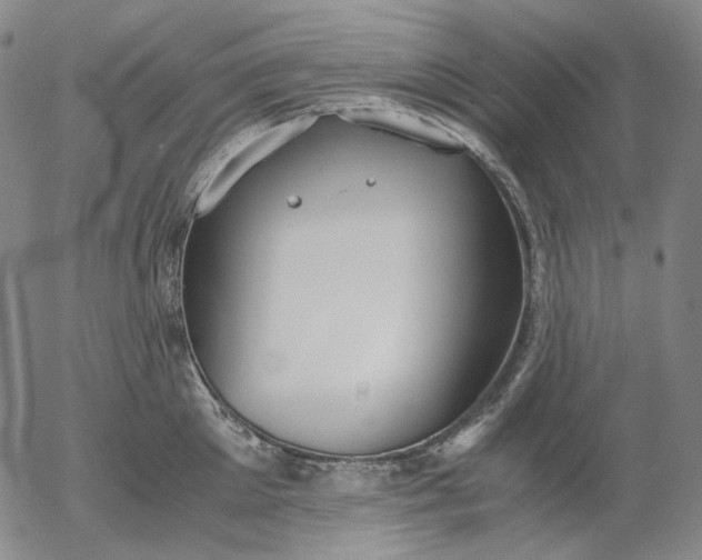 X0000056000905200509021701