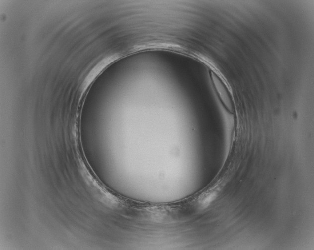 X0000056000906200509021701