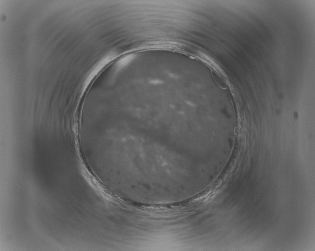 X0000056000907200509021701