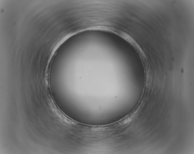 X0000056000908200509021701