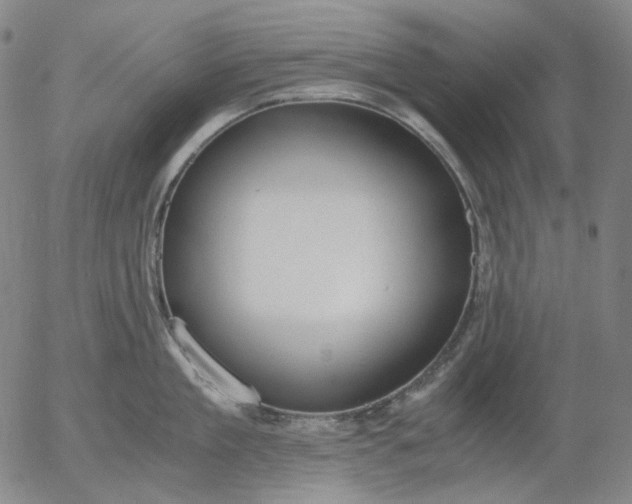 X0000056000909200509021701