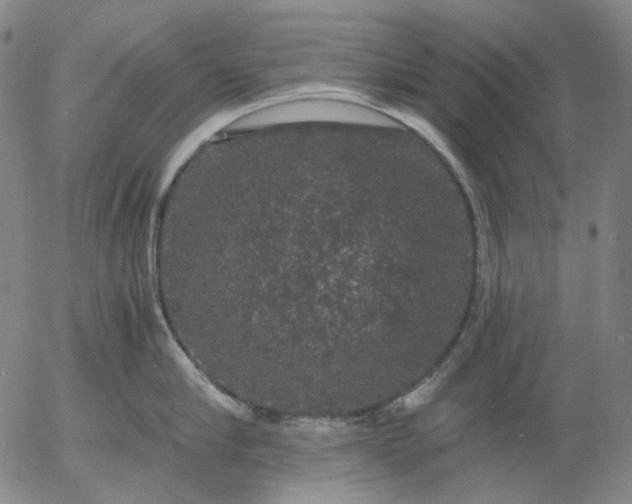 X0000056000910200509021701