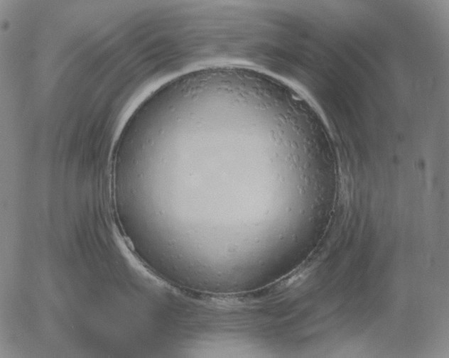 X0000056000911200509021701