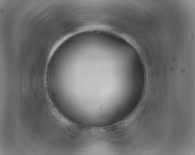 X0000056000912200509021701