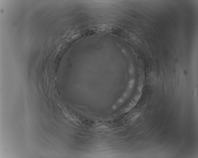 X0000056000913200509021700