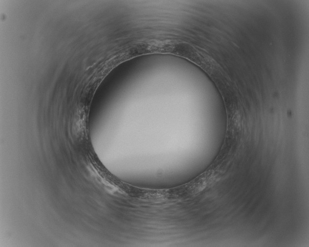 X0000056000914200509021700