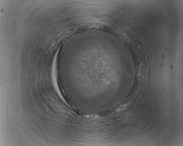 X0000056000916200509021700